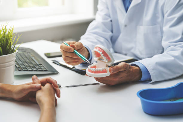 Quinnipiac University, CT Holistic Dental Care Services Company